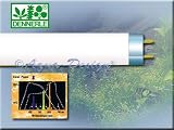 Eigenschaften Dennerle  / Dennerle TROCAL -de Luxe Special Plant 36 W, 3.000 Kelvin