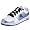 white/silver/blue
