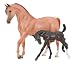 Arabian Mare and Foal - Red Roan and Dark Bay