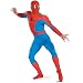 Search : Spider-Man Classic Muscle Adult Costume