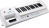 Roland Lucina AX-09 Shoulder Synthesizer