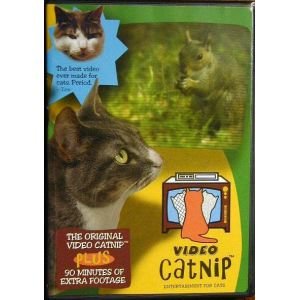 Video Catnip -- DVD