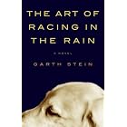 The Art of Racing in the Rain by  Garth Stein