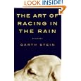 The Art of Racing in the Rain