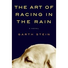 The Art of Racing in the Rain