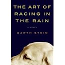 The Art of Racing in the Rain