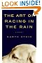 The Art of Racing in the Rain