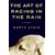 The Art of Racing in the Rain