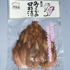 音川加工 みょうが甘酢漬 1袋(120g)×5個セット