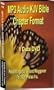 MP3 Audio KJV Bible - Chapter Format - 75 hours - (1) data DVD disk