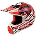 Fly Racing Platinum LX Renaissance Helmet