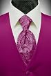 Fuschia Solid Satin Vest with Coordinating Tapestry Tie