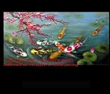 Japanese Koi Art Wall Art Framed Art Feng Shui Fish Painting 1 576