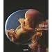 Na�tre : 9 mois en images