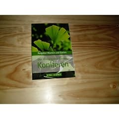 Der immergr�ne Garten Koniferen