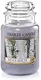 Yankee Candle Silver Birch Jar Candle, 22-Ounce, Large