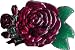 Womens Rose Fashion Belt Buckle