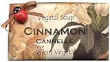 Alchimia Ladybug Natural Cinnamon Large Moisturizing Soap From Italy