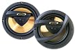 BOSS IQ-520 5.25" 2-WAY SPEAKER