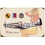 P-51 Mustang Salute Aircraft Sign