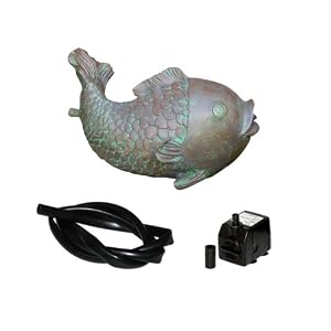 fish pond accessories