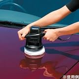 シャインポリッシュAC100V P59