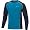 Methyl Blue/Peacoat-2580
