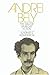 Books : Andrei Bely: The Major Symbolist Fiction (Russian Research Center Studies)