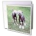 Dogs Chinese Crested Hairless - Chinese Crested Hairless - Greeting Cards-6 Greeting Cards with envelopes