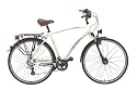 Ruhrwerk Herren Fahrrad (622 mm) Trekking Alu Gaze 24-Gang Shimano Acera Kettenschaltung, gefedert mit Nabendynamo, tokio-white matt, 50 cm, 28 Zoll, 68213
