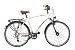 Ruhrwerk Trekkingrad 28 Zoll Alu Herren Gaze 24-Gang Shimano Acera Kettenschaltung, gefedert mit Nabendynamo