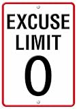 EXCUSE LIMIT 0 LP LARGE POSTERS