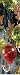 Kitchen & Housewares : Hanging Glass Hummingbird Feeder