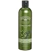 Nature's Gate Organics Conditioner, Tea Tree Oil & Blue Cypress, 12-Ounce Bottles (Pack of 3)