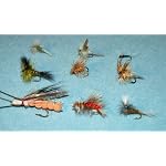 Western Dry Fly Assortment--54 Flies