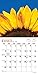 Sunflowers 2015 Mini 7x7 (Multilingual Edition)