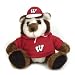 Wisconsin Badgers 9