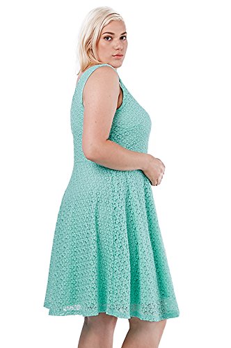 Women's Fashion Solid Colors Lace Fit Flare Party Dress Plus Size USA