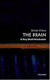 The Brain: A Very Short Introduction