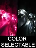 25Ft Color Selectable Rope Lights; pink and pure white LED Rope Light Kit; Christmas Lighting; outdoor rope lighting