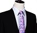 SetSense Men's Floral Paisley Jacquard Woven Tie Necktie Set