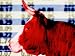Bull in Front of Stock Market Quotes Photographic Poster Print, 24x18
