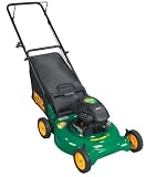 Weed Eater 961340001 21-Inch 158cc Briggs and Stratton Gas Powered Mulch/Bag Lawn Mower