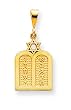 14k Polished Torah with Star of David Pendant