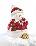 MAYFAIR & JACKSON 94107 SNOW FLURRIES COOKIE JAR