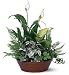 Teleflora
