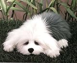 Plush Lou Rankin Higgins English Sheepdog 15