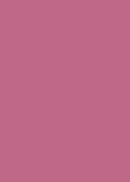 Dimensions Oversized Color Sample - Pink Positive