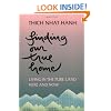Finding Our True Home: Living the Pure Land Here and Now