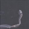 Image of album by Tenhi